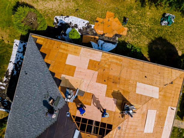 Best Roof Gutter Cleaning  in Watsessing, NJ
